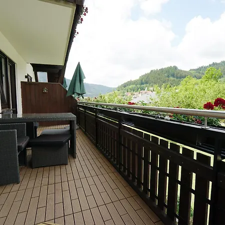 Hoernleberg - Stubenhof, Black Forest * Simonswald