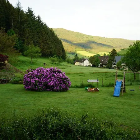 Lägenhet Hoernleberg - Stubenhof, Black Forest