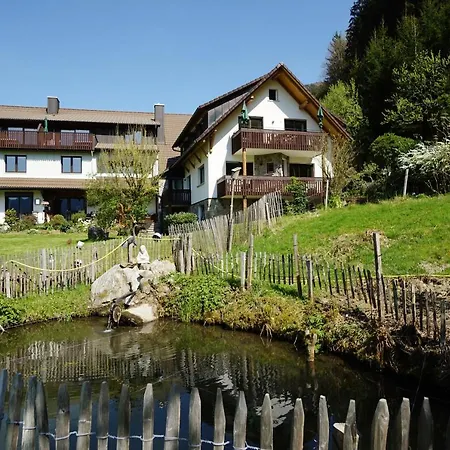 Apartamento Hoernleberg - Stubenhof, Black Forest
