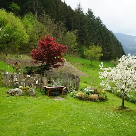 Hoernleberg - Stubenhof, Black Forest Lägenhet Simonswald