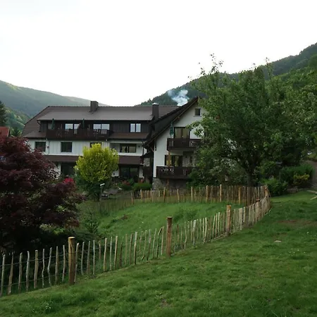 Apartment Hoernleberg - Stubenhof, Black Forest Simonswald